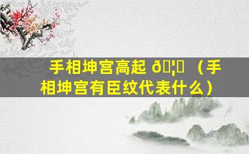 手相坤宫高起 🦈 （手相坤宫有臣纹代表什么）